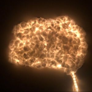 Meet your Posher, Trinity